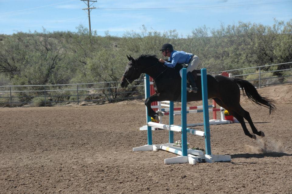 Pictures for Miller Horse Farm & Riding Academy in Anthony, NM 88021